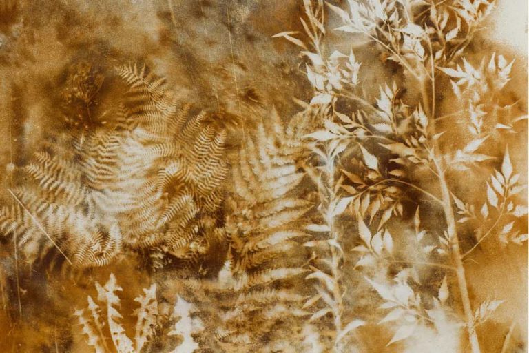 ELENA MARTÍ MANZANARES. Vulnerables