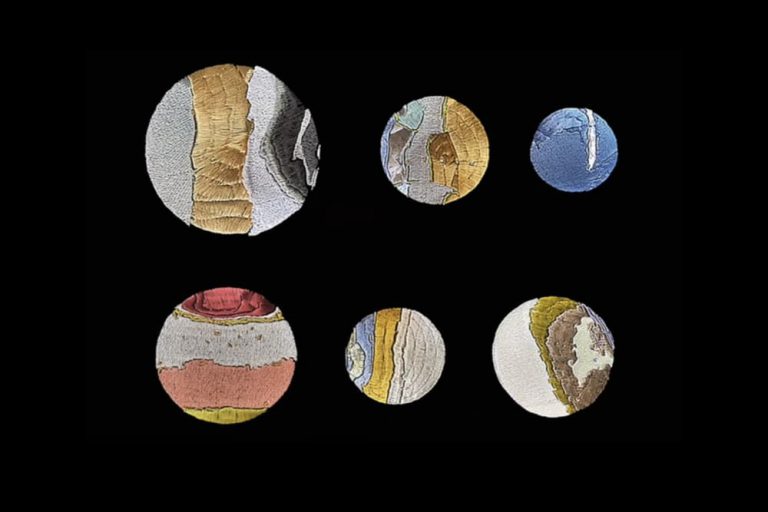 ALEXANDRA KNIE. Visual Mutations